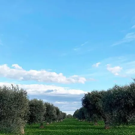 Gelsa Villa *